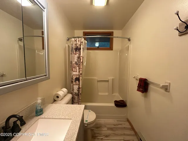 a bathroom with a sink and a shower