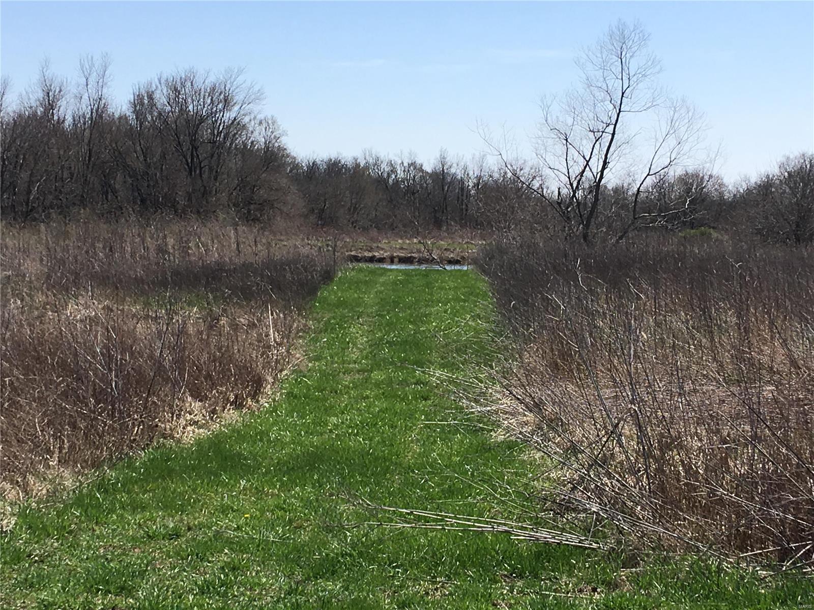 5697 Miles Station Road Bunker Hill, IL 62014 - Photo 11 of 54 Gallery Image 11