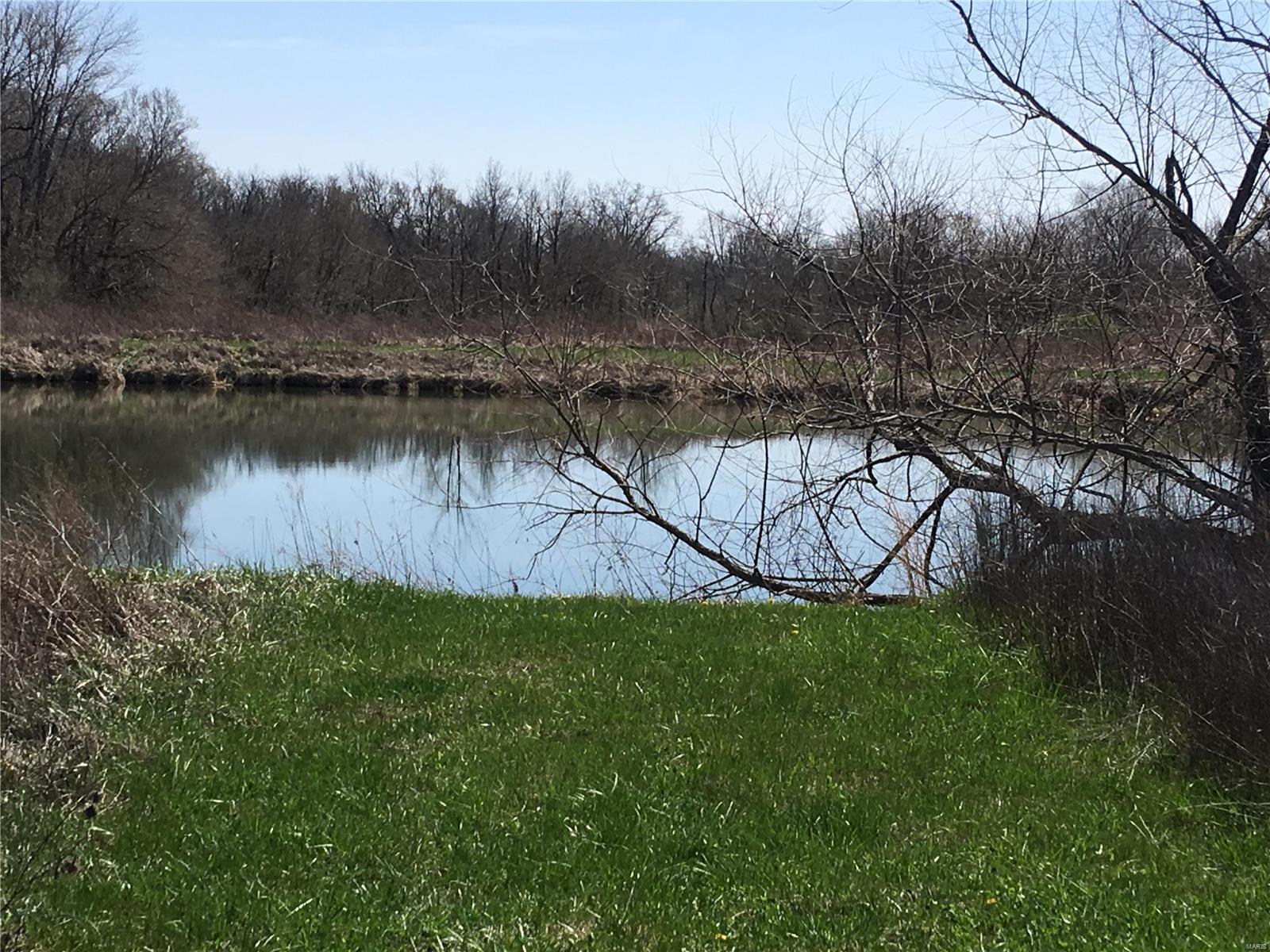 5697 Miles Station Road Bunker Hill, IL 62014 - Photo 13 of 54 Gallery Image 13