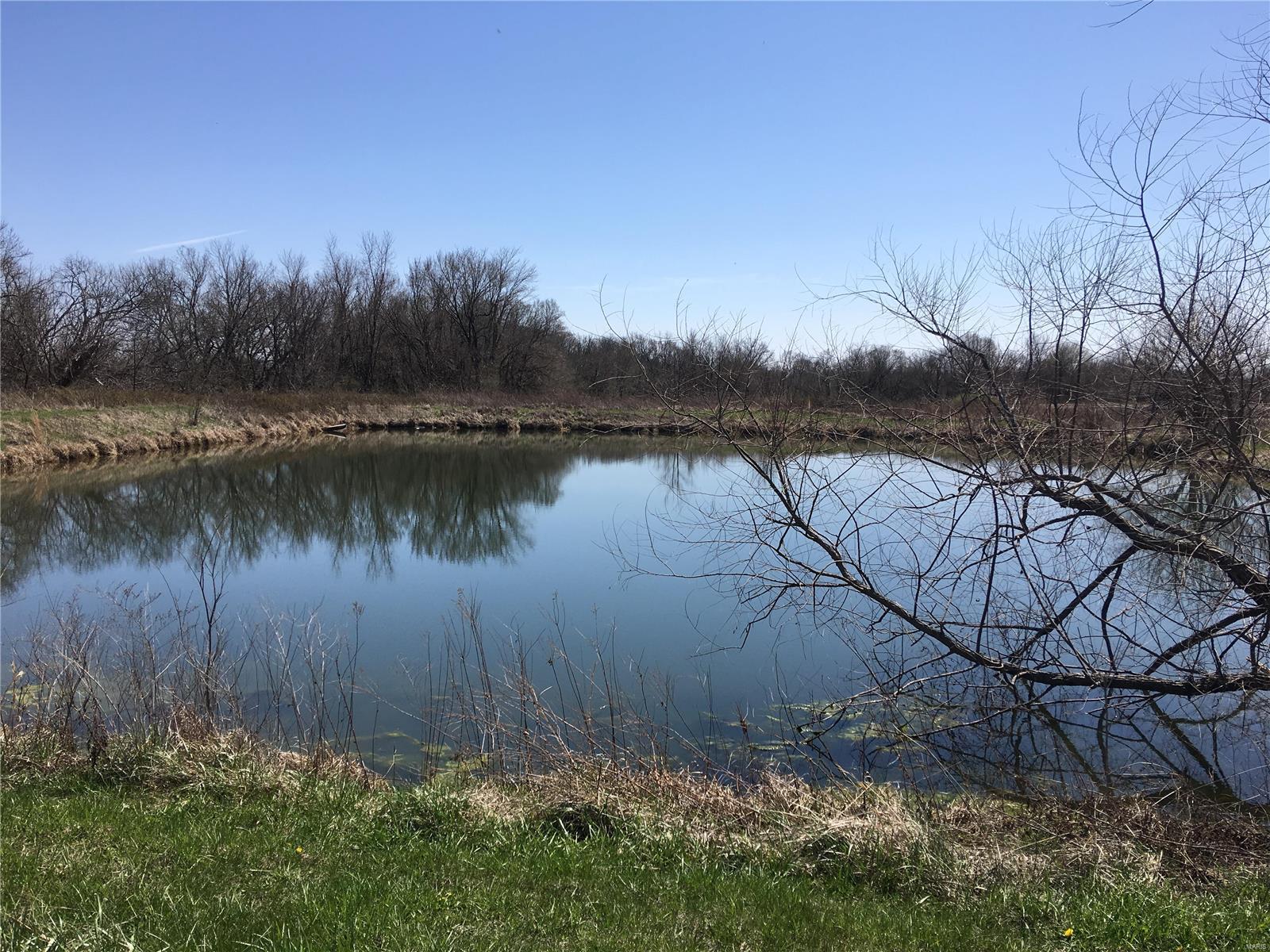 5697 Miles Station Road Bunker Hill, IL 62014 - Photo 14 of 54 Gallery Image 14