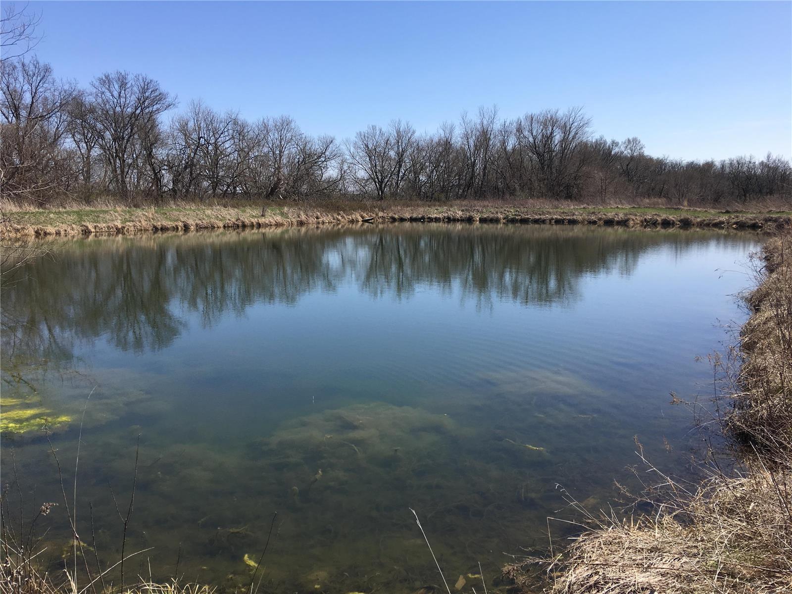 5697 Miles Station Road Bunker Hill, IL 62014 - Photo 17 of 54 Gallery Image 17