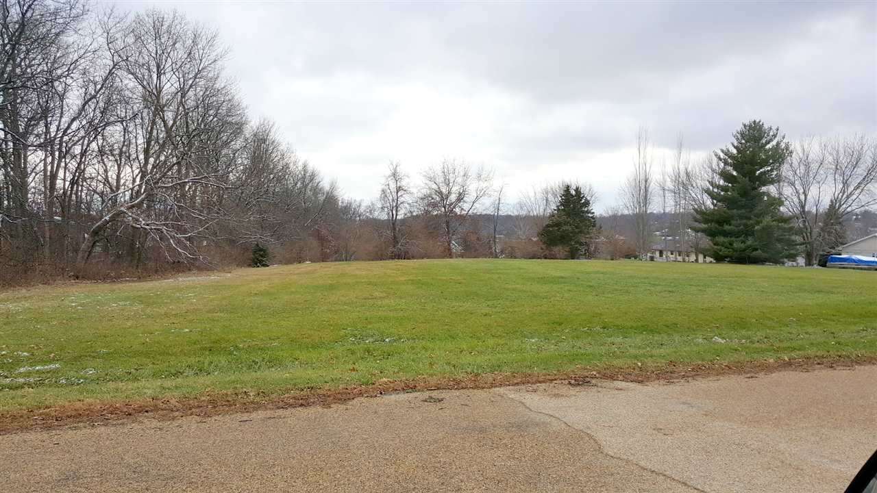 Gallery Image 1