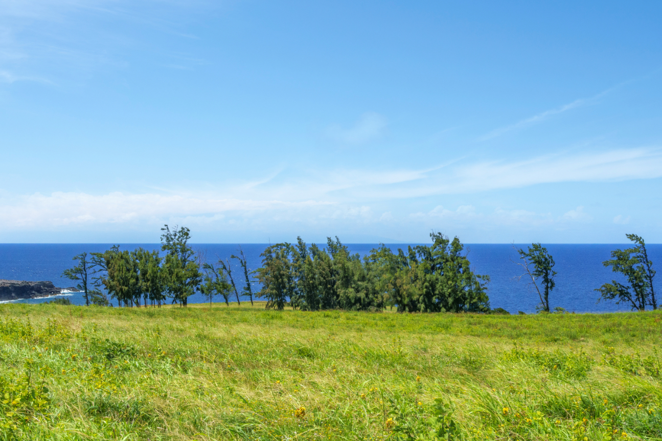 1 Uli Road Kapaau, HI 96755 - Photo 5 of 14