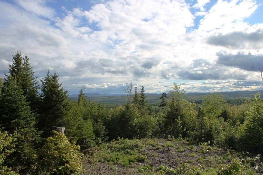 16 Alpine Ridge Greenville, ME 04441 - Photo 7 of 19 20210501170607950744000000-o
