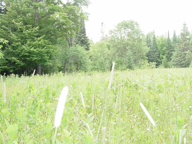 On Sunset Road Presque Isle, WI 54557 - Photo 4 of 14 Gallery Image 4