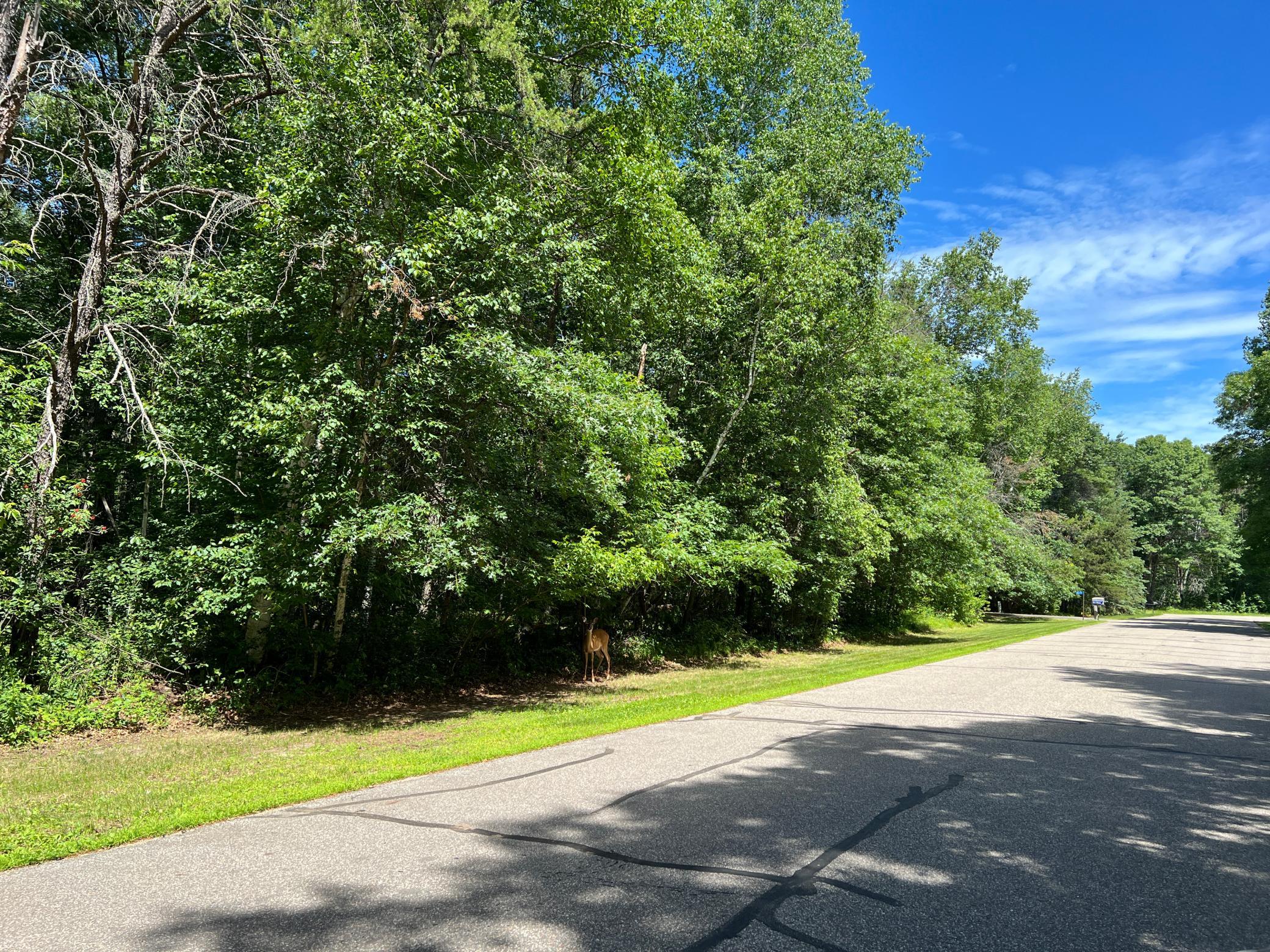 Lot 2 Birch Lane Brainerd, MN 56401 - Photo 11 of 16