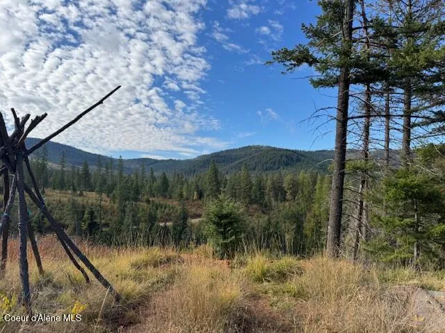 $190,000 | 1 Dole Camp Road, Desmet, ID 83824