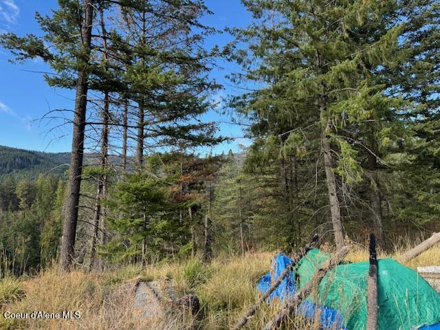 1 Dole Camp Road Desmet, ID 83824 - Photo 3 of 10 IMG_9022