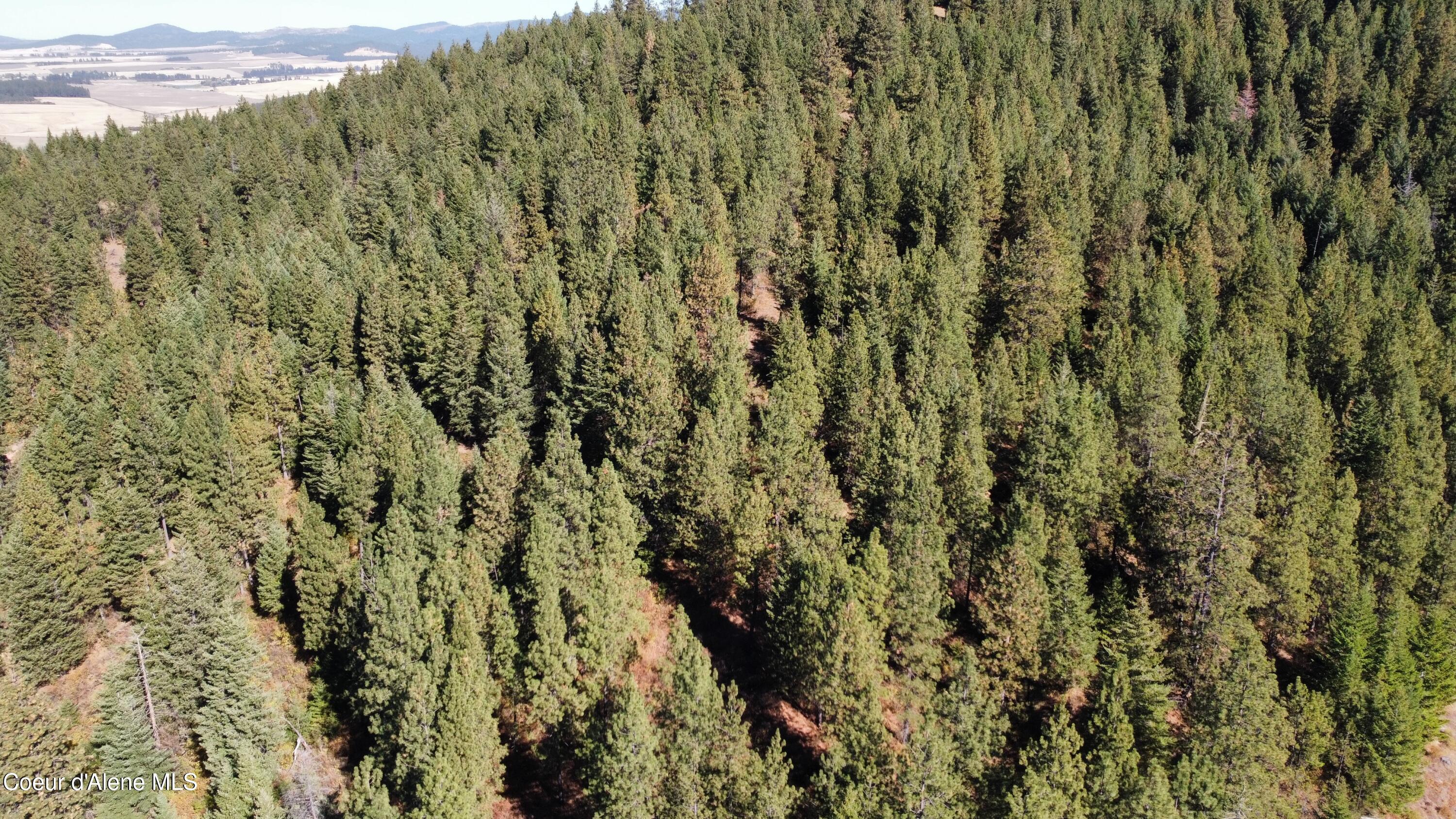 1 Dole Camp Road Desmet, ID 83824 - Photo 9 of 10 dji_fly_20251006_124906_917_175978041477