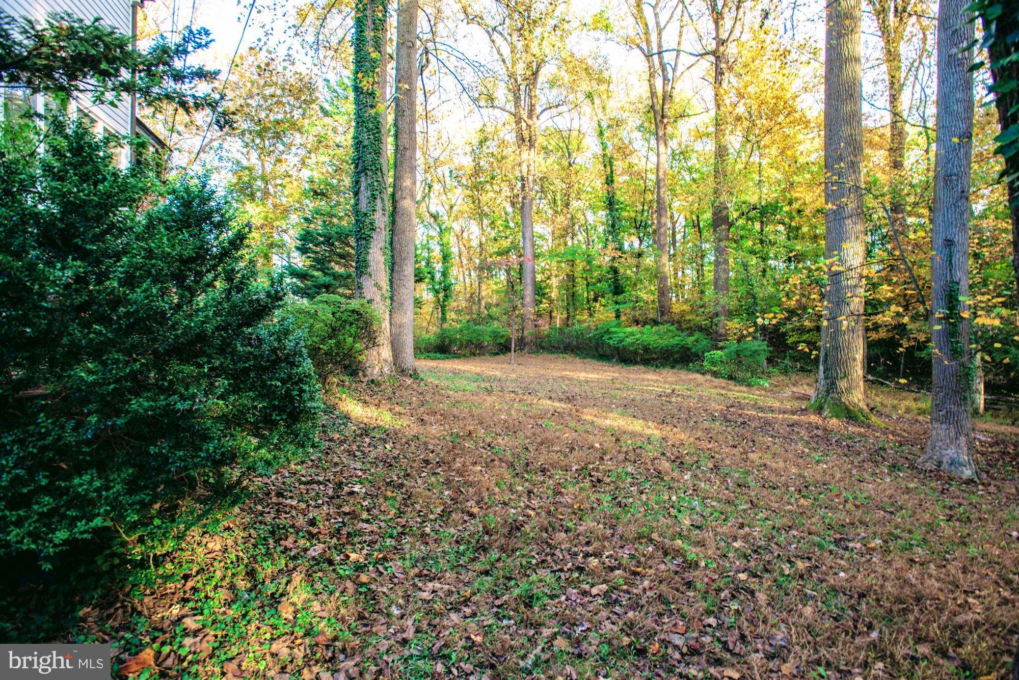 2811 Foxhall Road Northwest Washington, DC 20007 - Photo 3 of 20 View to parkland