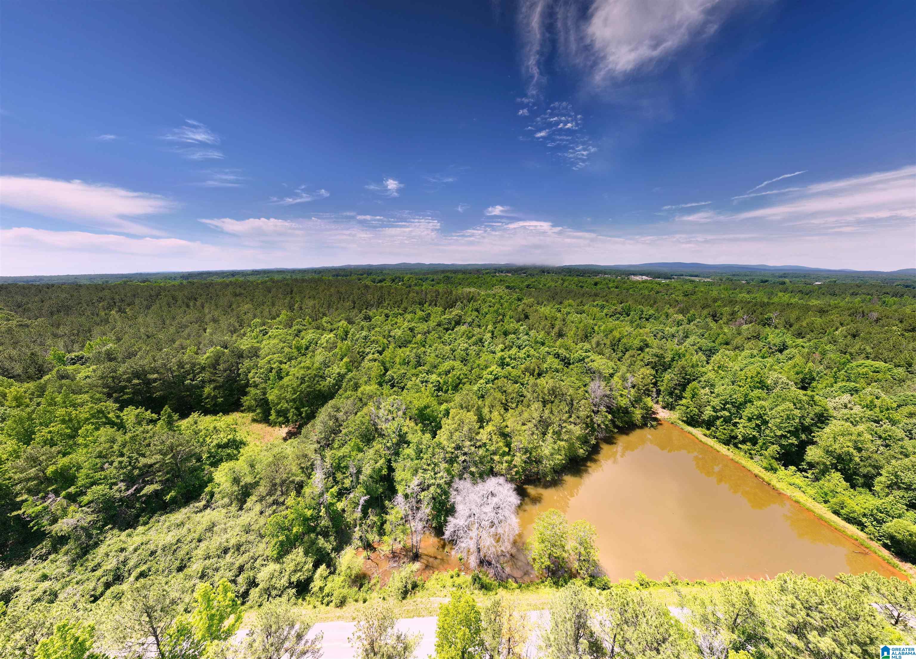 1 Old Mill Road Goodwater, AL 35072 - Photo 15 of 22
