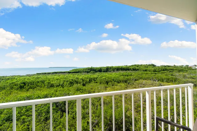 a view of a big yard