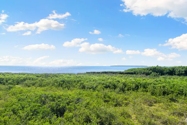 $1,385,000 | 500 Burton Drive, Unit 3308 & 3309, Tavernier, FL 33070