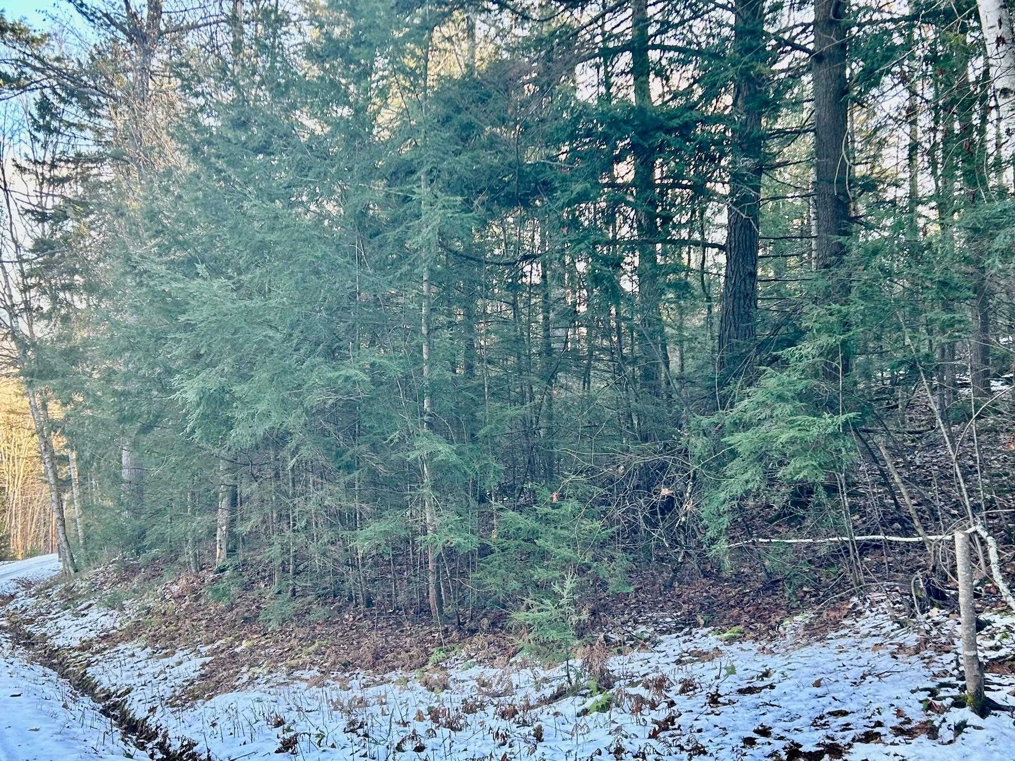 Longfellow Road, Unit 3 Woodsville, NH 03785 - Photo 1 of 3 Gallery Image 1