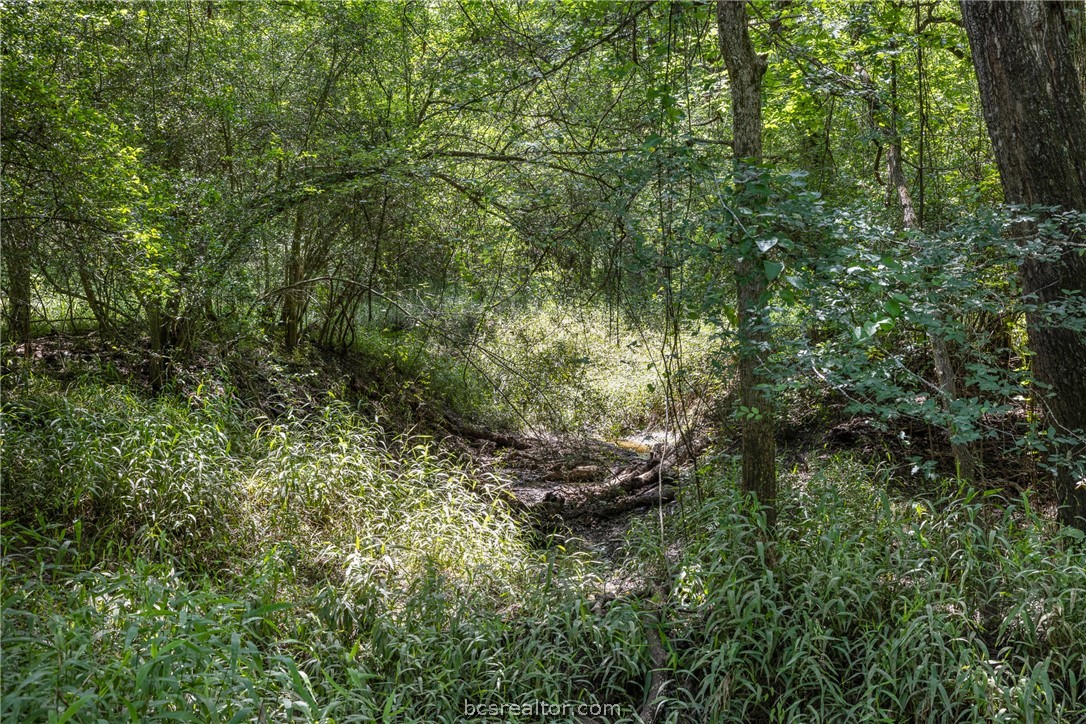 Tbd Weber Road Bryan, TX 77808 - Photo 16 of 43