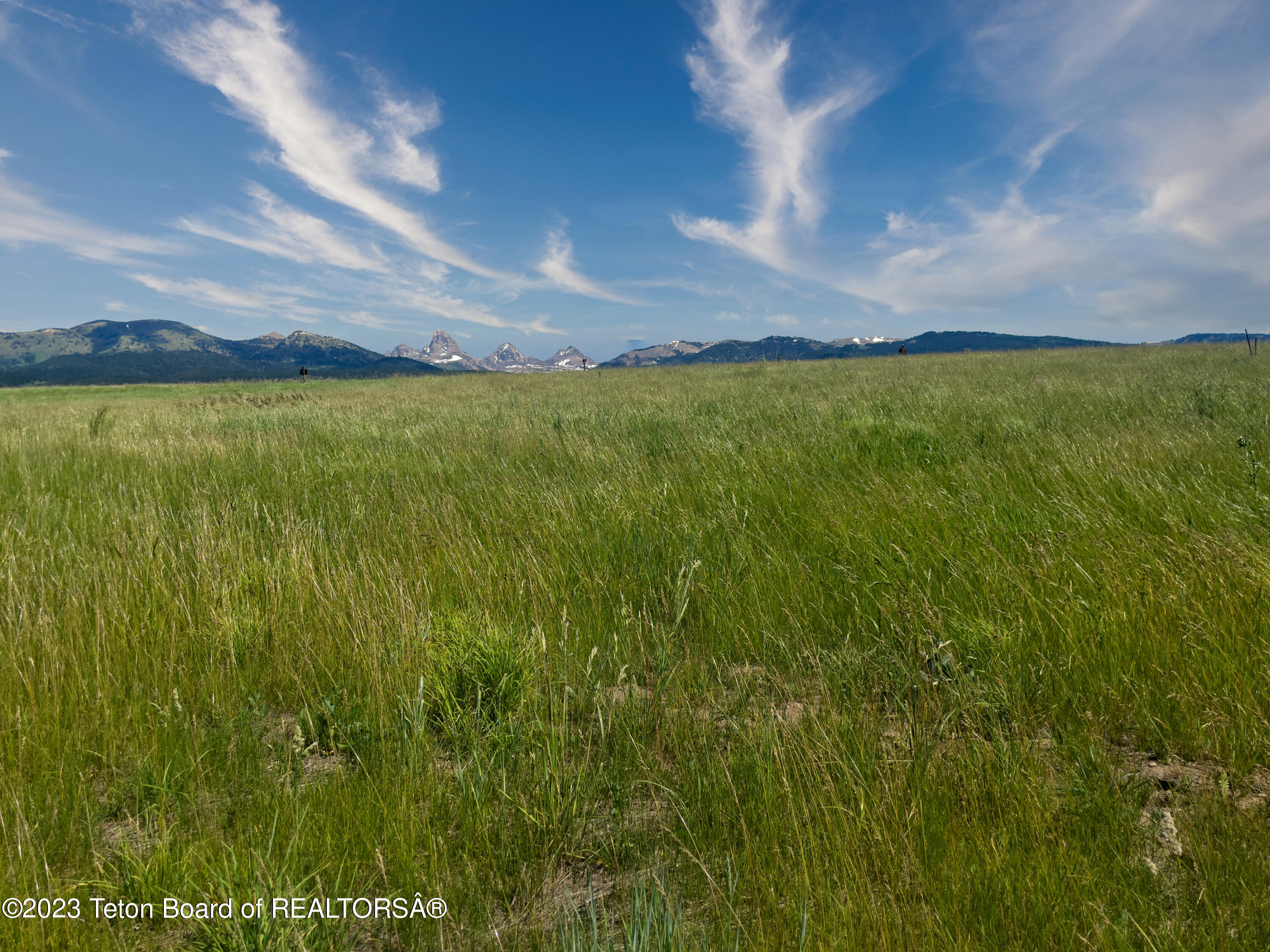 2330 Snow Crest Ranch Drive Driggs, ID 83422 - Photo 10 of 23 2330 SNOW CREST DR_10