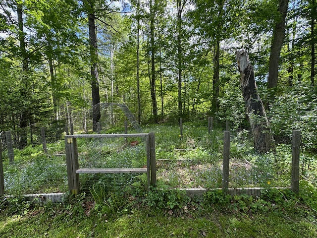 19 Back Belmont Road Belfast, ME 04915 - Photo 53 of 53 unnamed (11)
