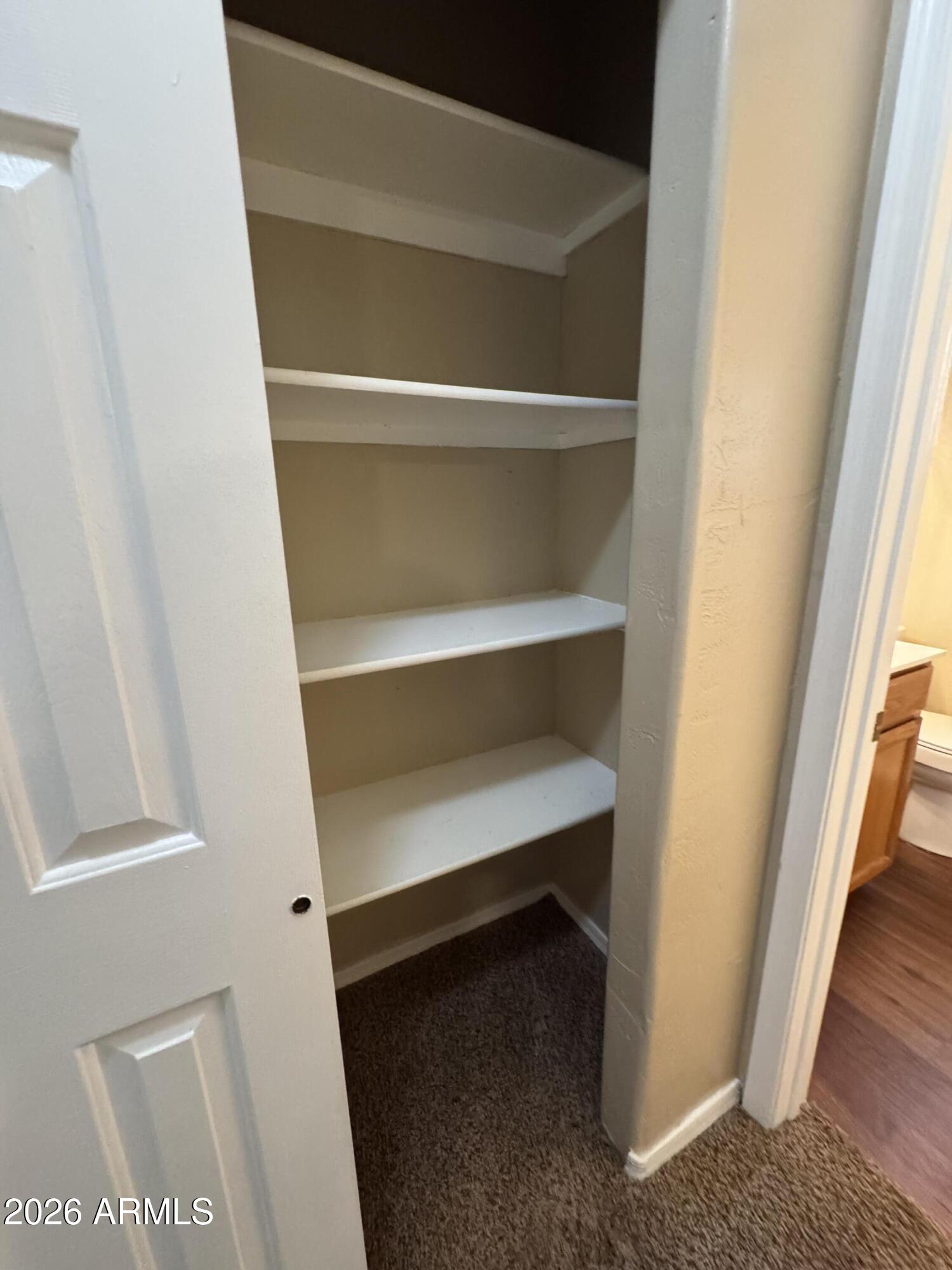 574 Walnut Creek Loop Pinetop, AZ 85935 - Photo 13 of 23 a view of walk in closet with empty racks