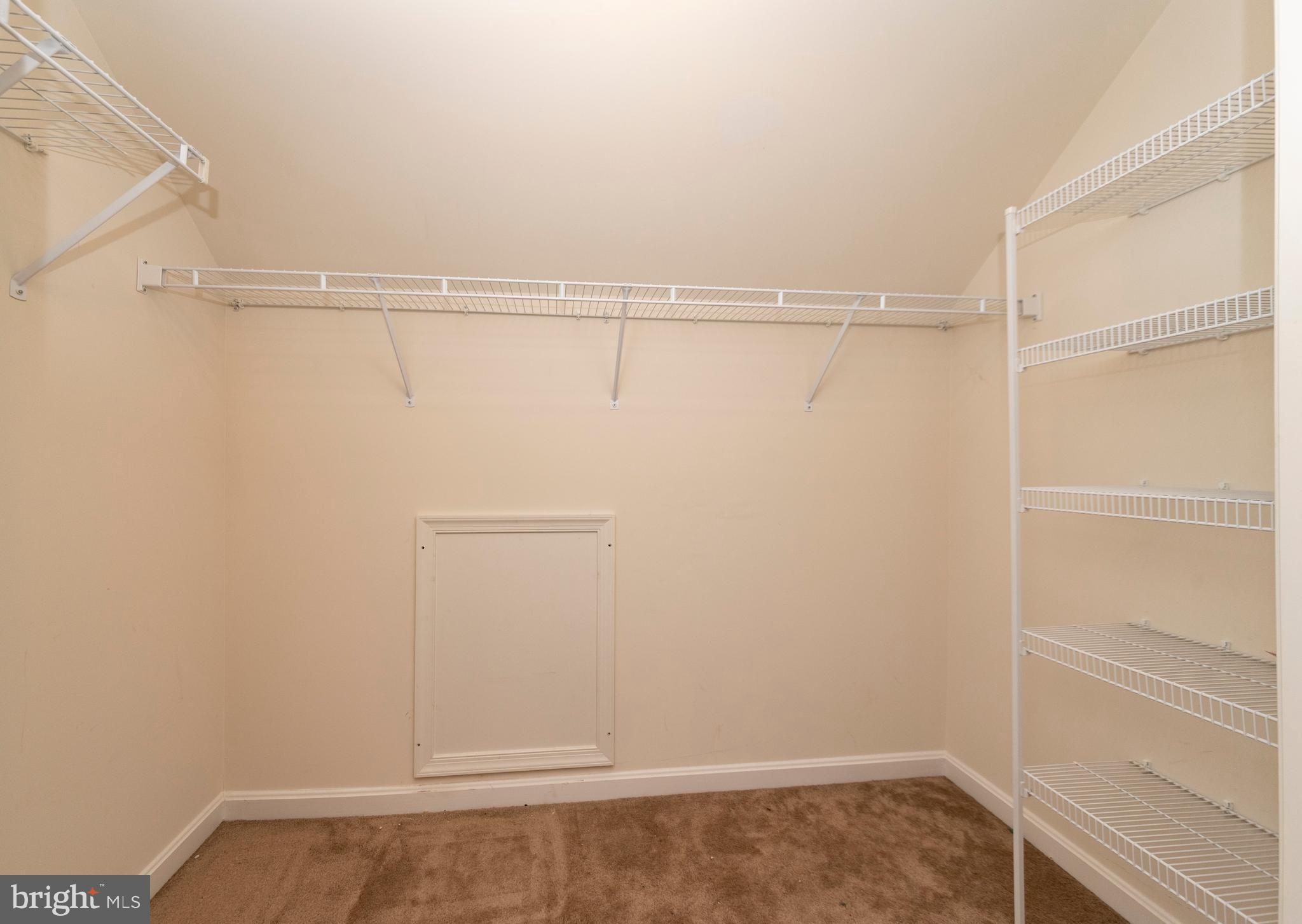196 Woods Road Chester, MD 21619 - Photo 38 of 44 Walk In Closet