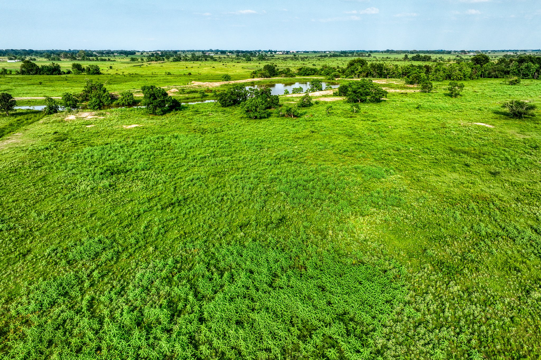 11194 Schmidt Road Waller, TX 77484 - Photo 11 of 13 a view of an outdoor space with a lake view