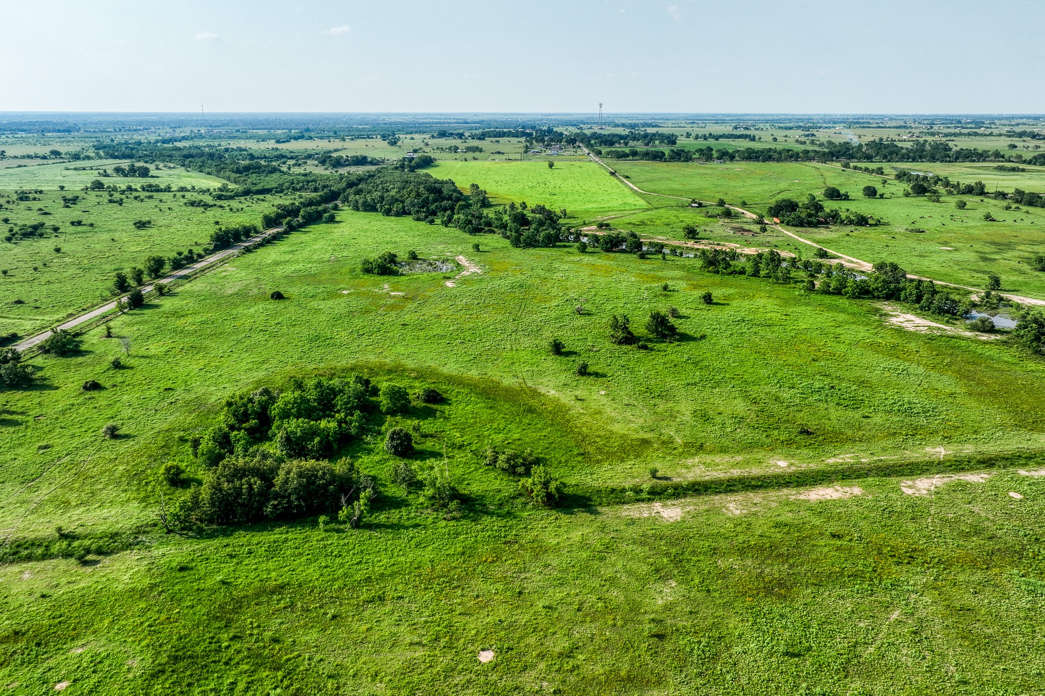 11194 Schmidt Road Waller, TX 77484 - Photo 12 of 13 a view of a green field with lots of green space