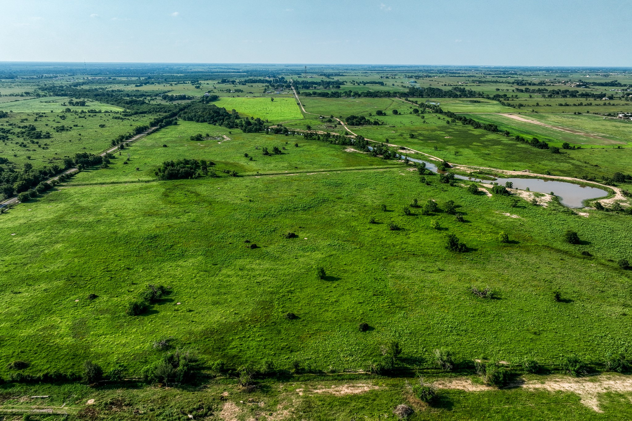 11194 Schmidt Road Waller, TX 77484 - Photo 13 of 13 a view of a green field with lots of green space