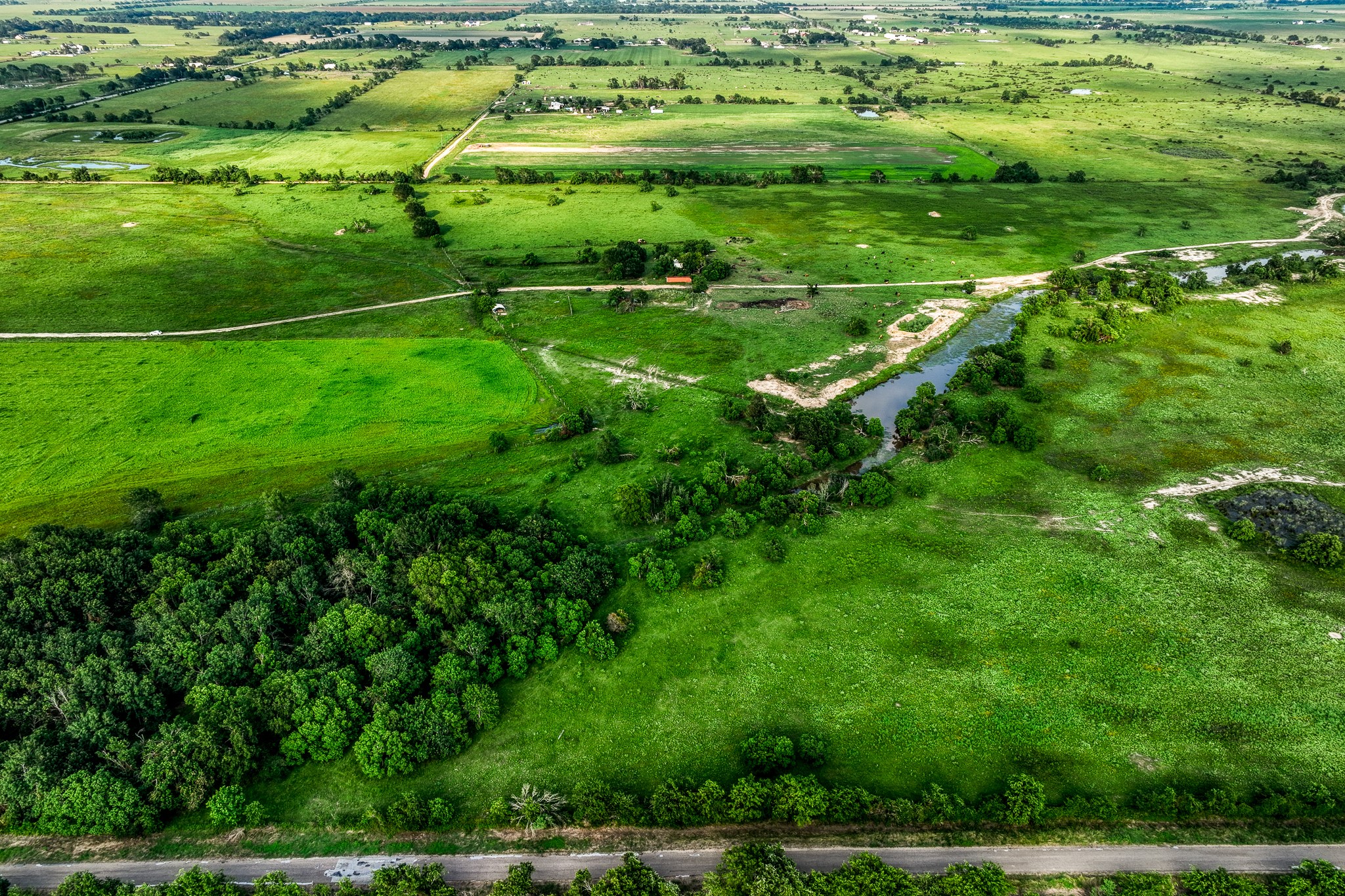 11194 Schmidt Road Waller, TX 77484 - Photo 3 of 13 a view of a green yard