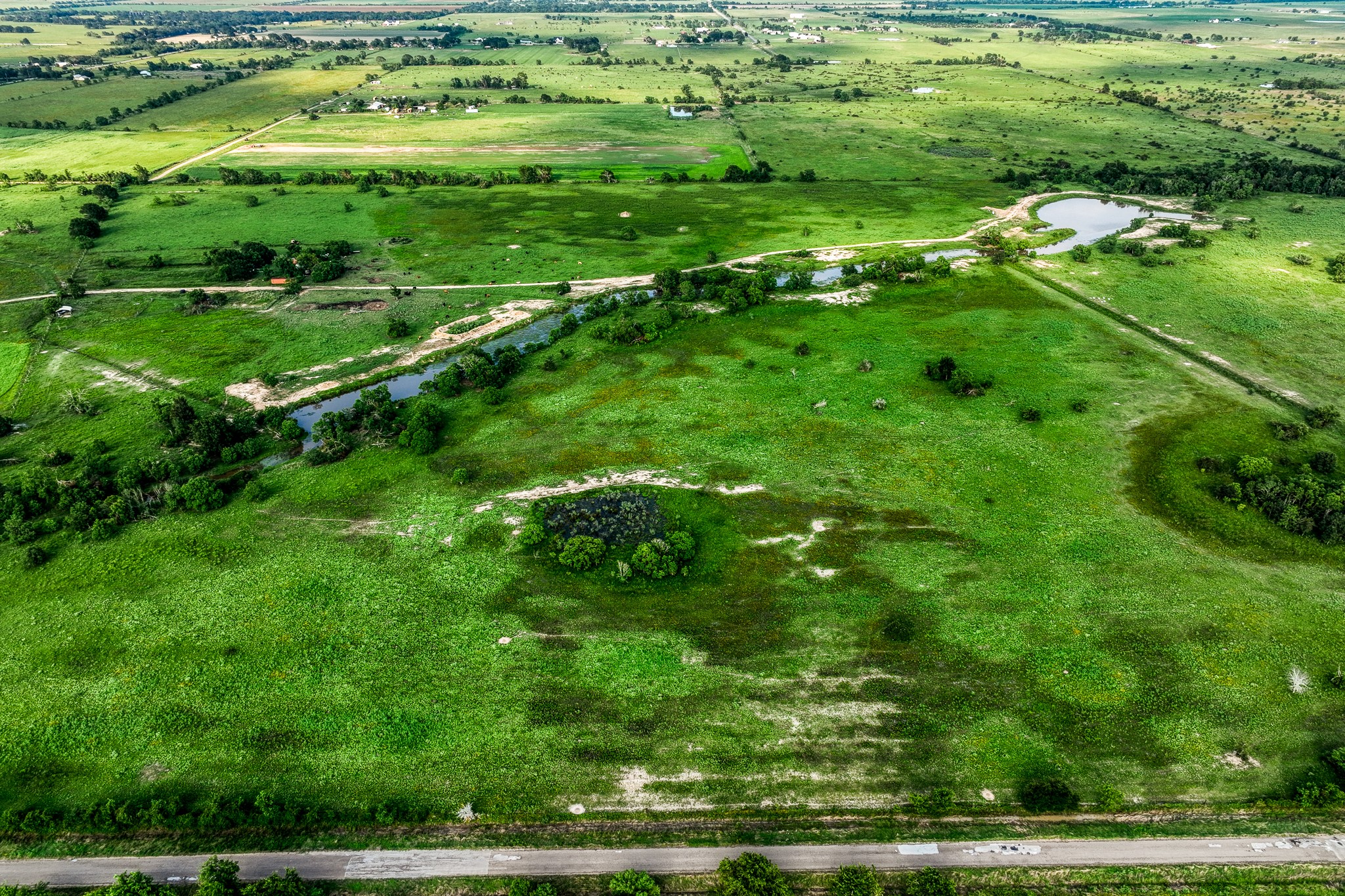 11194 Schmidt Road Waller, TX 77484 - Photo 5 of 13 a view of a lush green field