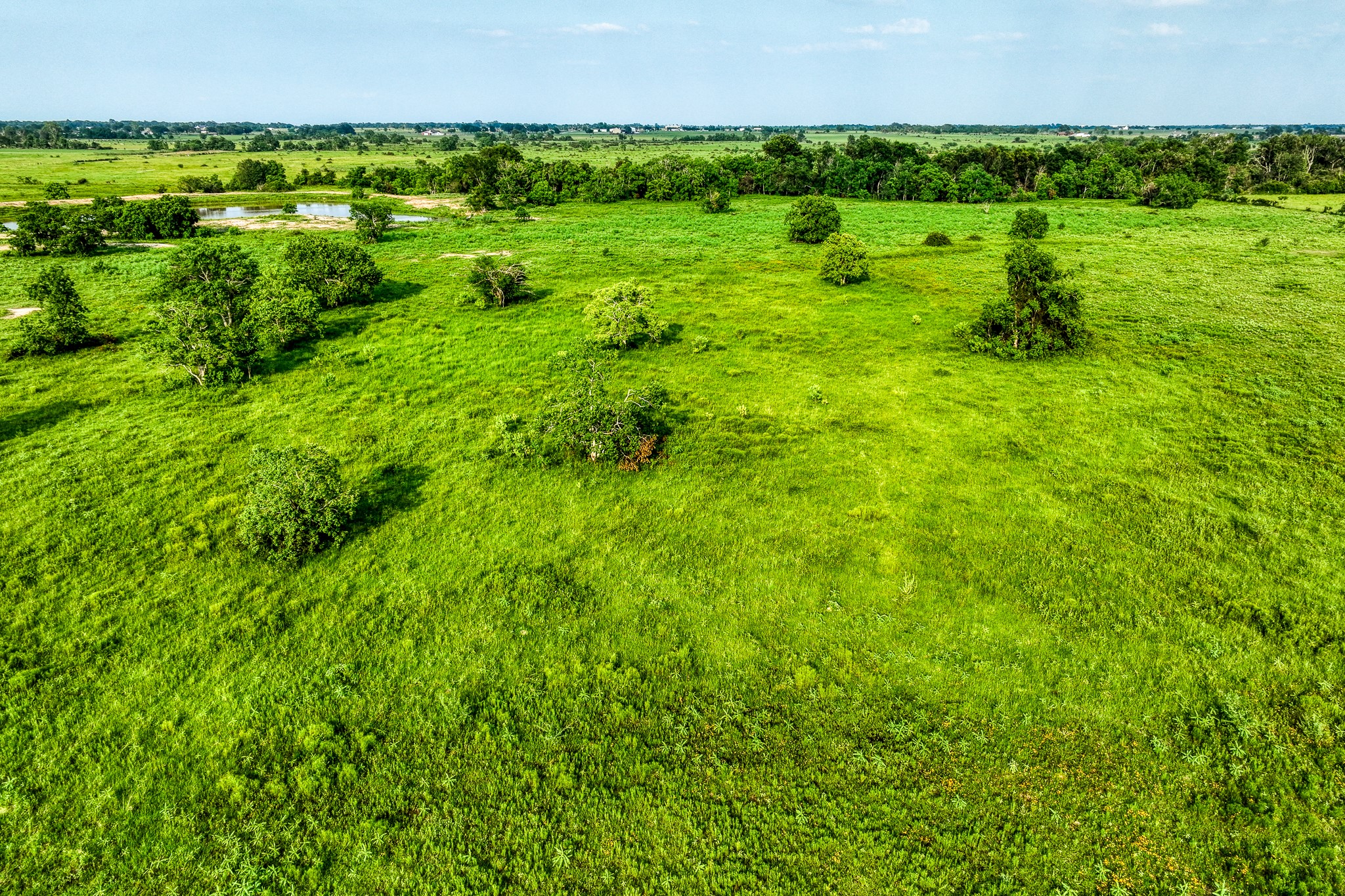 11194 Schmidt Road Waller, TX 77484 - Photo 6 of 13 a view of a lush green space