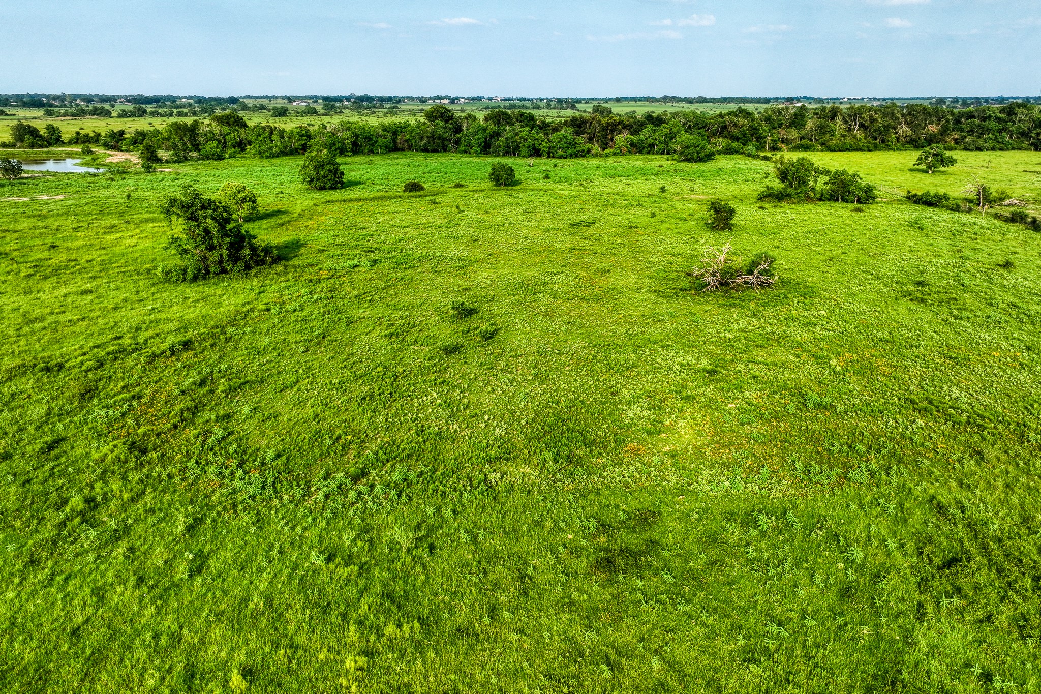 11194 Schmidt Road Waller, TX 77484 - Photo 9 of 13 a view of a lush green space