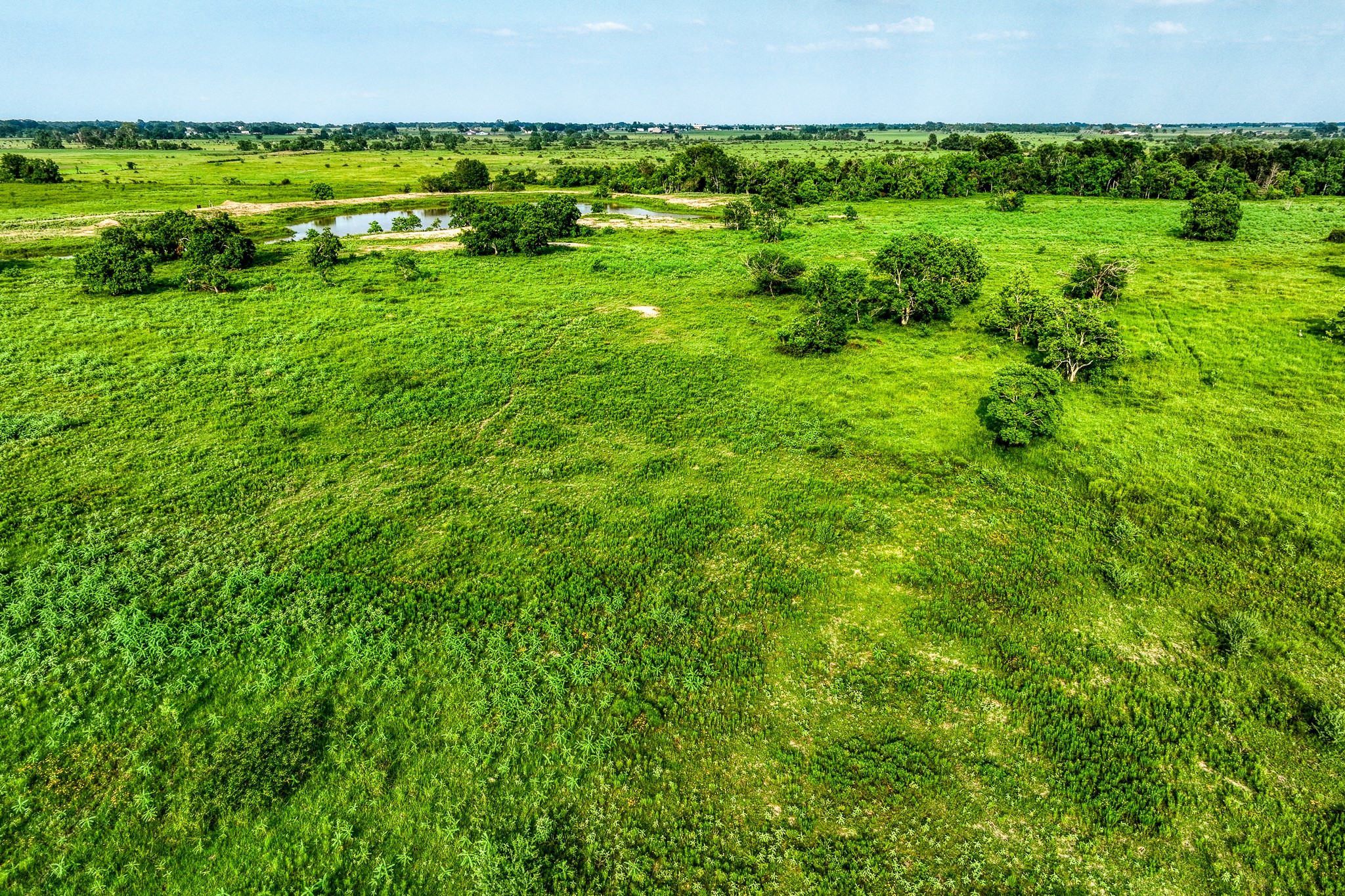 11194 Schmidt Road Waller, TX 77484 - Photo 10 of 13 a view of a lush green field