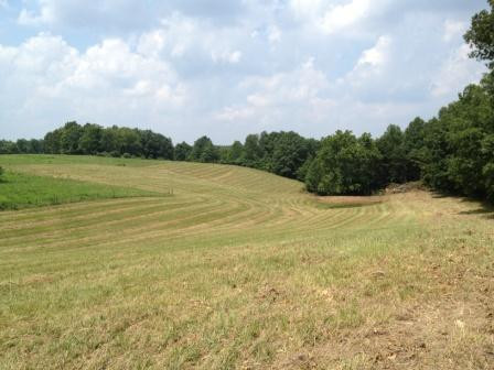 2 High Moore Road London, KY 40741 - Photo 3 of 4 Photo 3