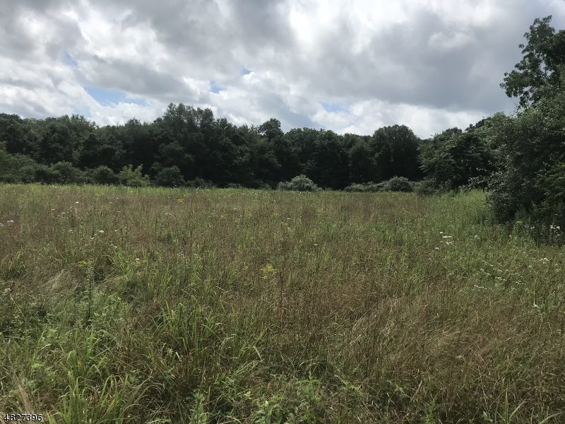 160 Newton Sparta Road Newton, NJ 07860 - Photo 2 of 4 a view of lake with green space