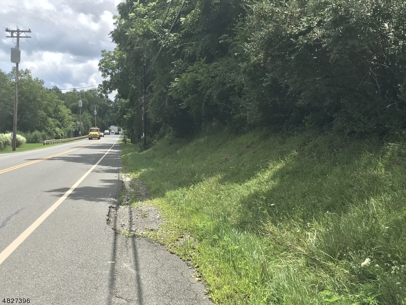 160 Newton Sparta Road Newton, NJ 07860 - Photo 3 of 4 a view of a yard