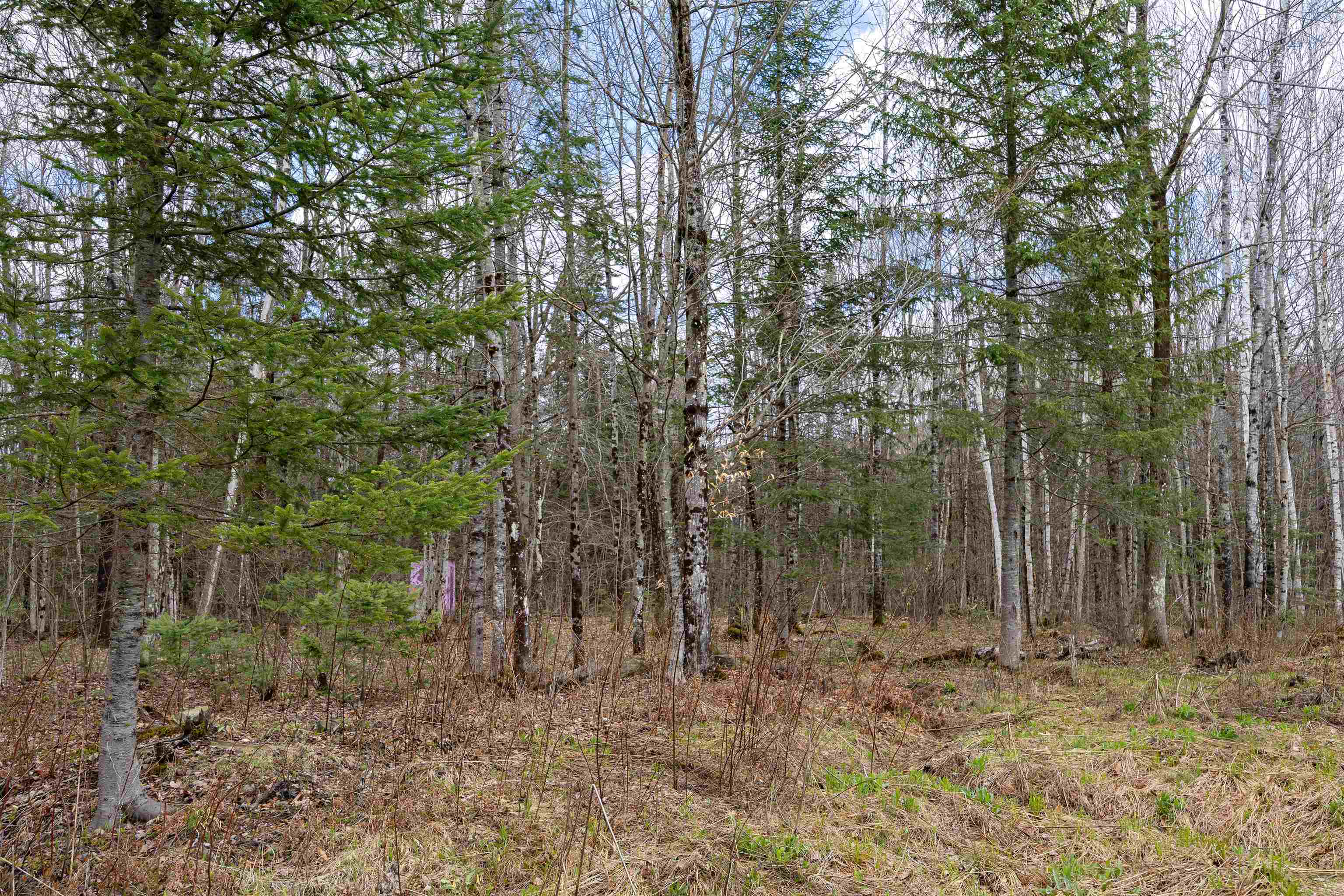 1031 Ladd Road Concord, VT 05824 - Photo 47 of 58 Gallery Image 47
