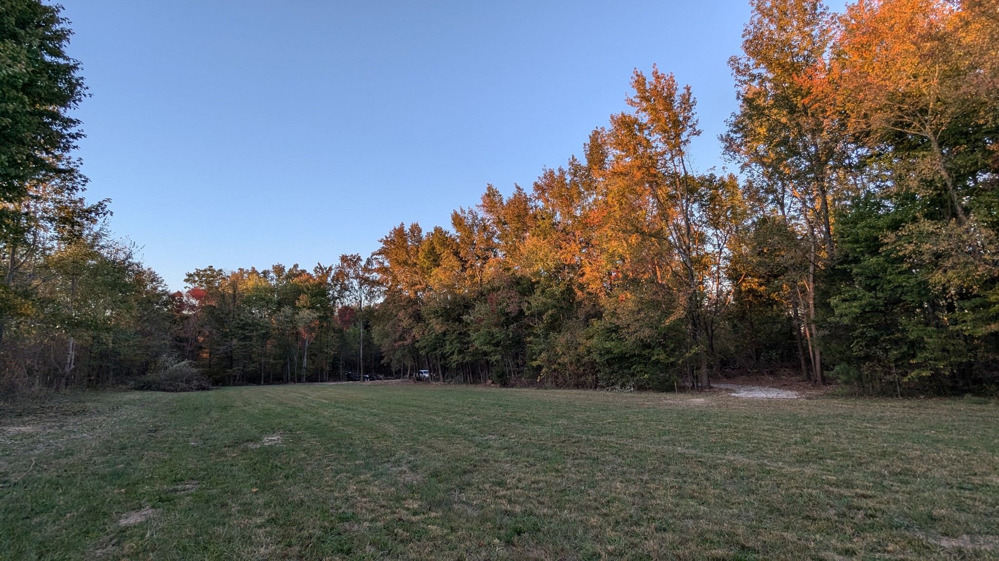 174 Shaub Road Portland, TN 37148 - Photo 7 of 9 a view of a field with trees in background