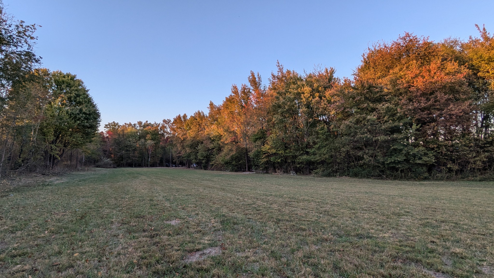 174 Shaub Road Portland, TN 37148 - Photo 8 of 9 a view of a field with trees in background
