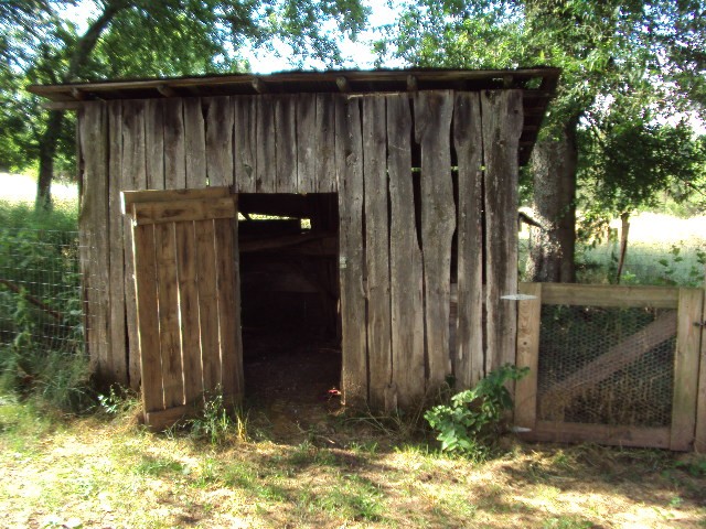 10980 Canoe Branch Road Castalian Springs, TN 37031 - Photo 44 of 46 Gallery Image 44