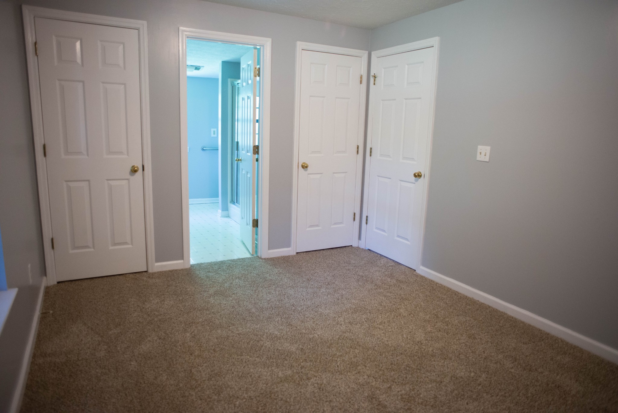 10980 Canoe Branch Road Castalian Springs, TN 37031 - Photo 10 of 46 Gallery Image 10