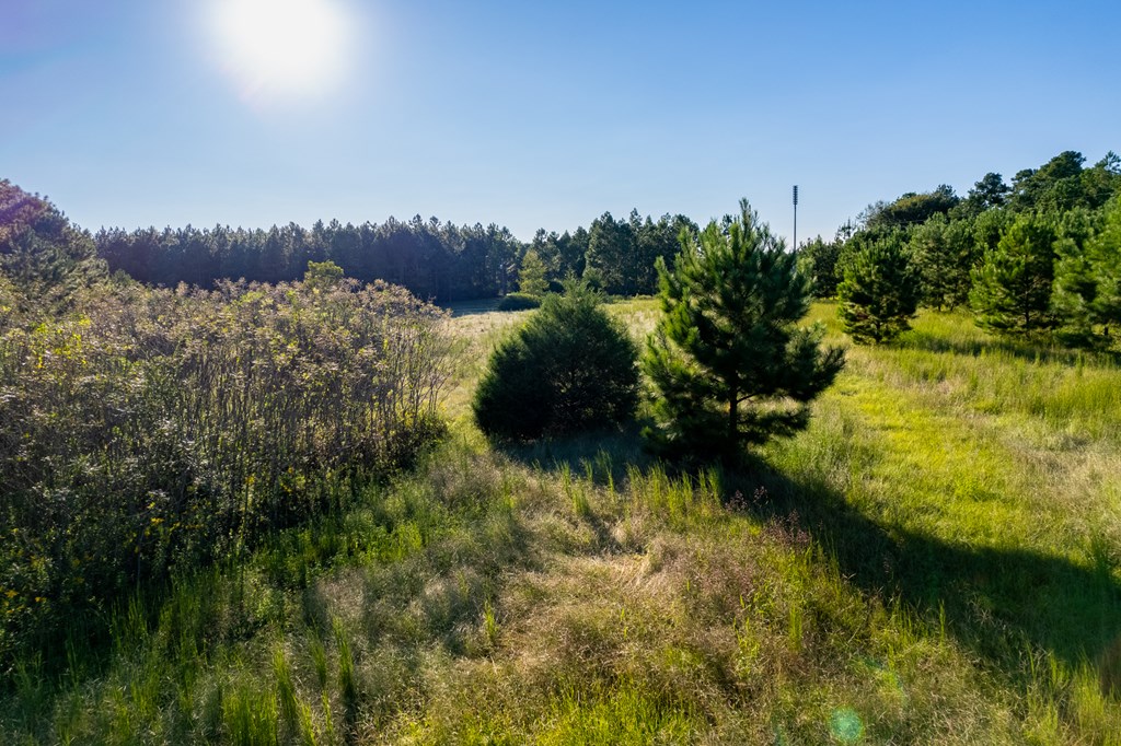 2226 Randall Wade Road Headland, AL 36345 - Photo 47 of 60