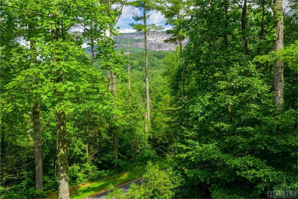 2 Whiteside Cove Road Highlands, NC 28741 - Photo 2 of 7 Gallery Image 2