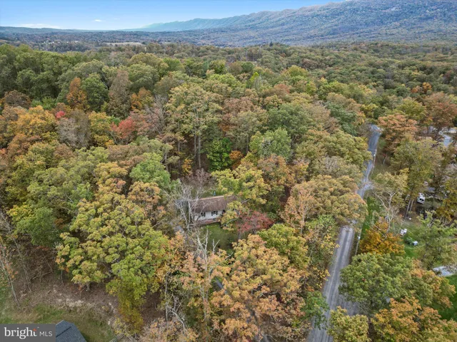 a view of a large yard with lots of trees