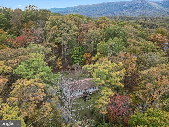 a view of a dry yard
