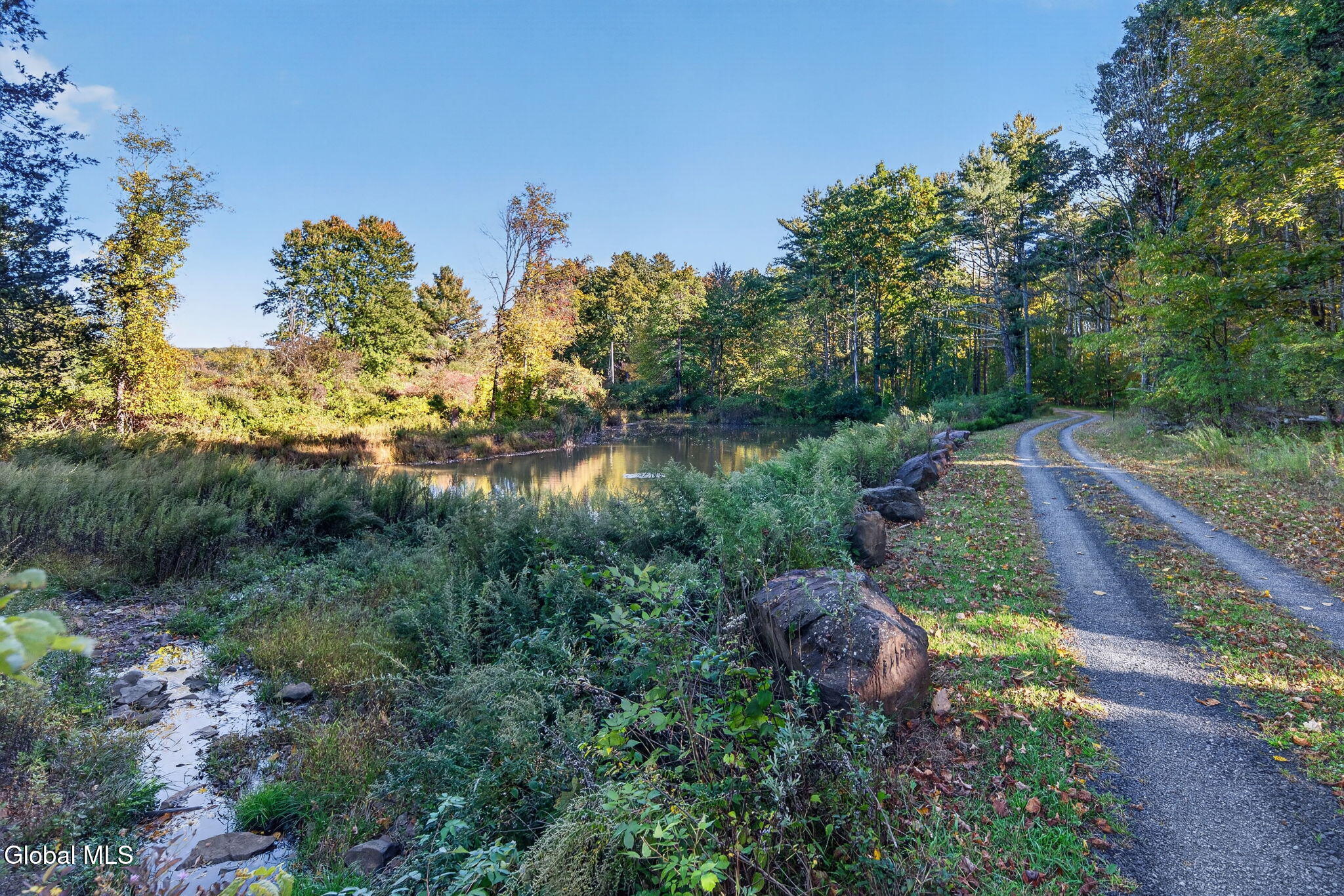 174 Webber Road Coxsackie, NY 12058 - Photo 63 of 71 58-web-or-mls-DSC05988