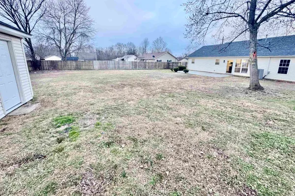 a view of a yard with a large tree