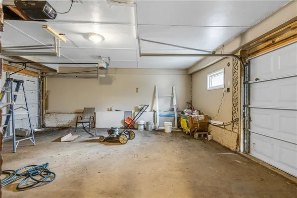 a view of a garden with a tree