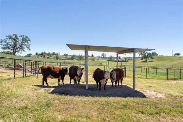 $3,399,000 | 5385 Camp 8 Road, Paso Robles, CA 93446