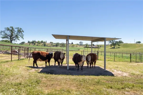 $3,399,000 | 5385 Camp 8 Road, Paso Robles, CA 93446