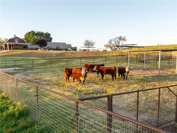 $3,399,000 | 5385 Camp 8 Road, Paso Robles, CA 93446