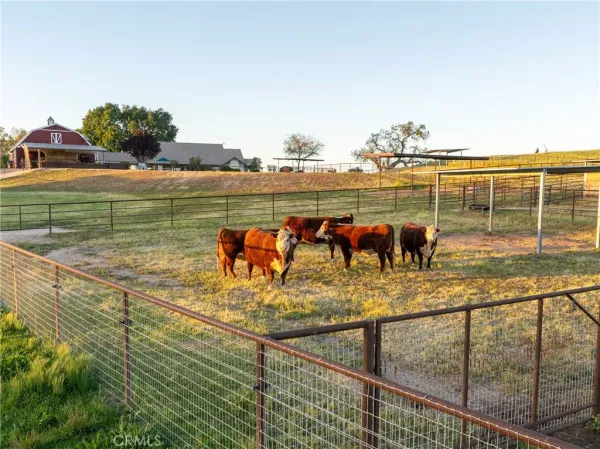 $3,399,000 | 5385 Camp 8 Road, Paso Robles, CA 93446